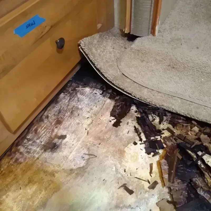 Wood Floor Water Damage in Douglas County, GA